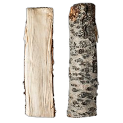 Birch Tar